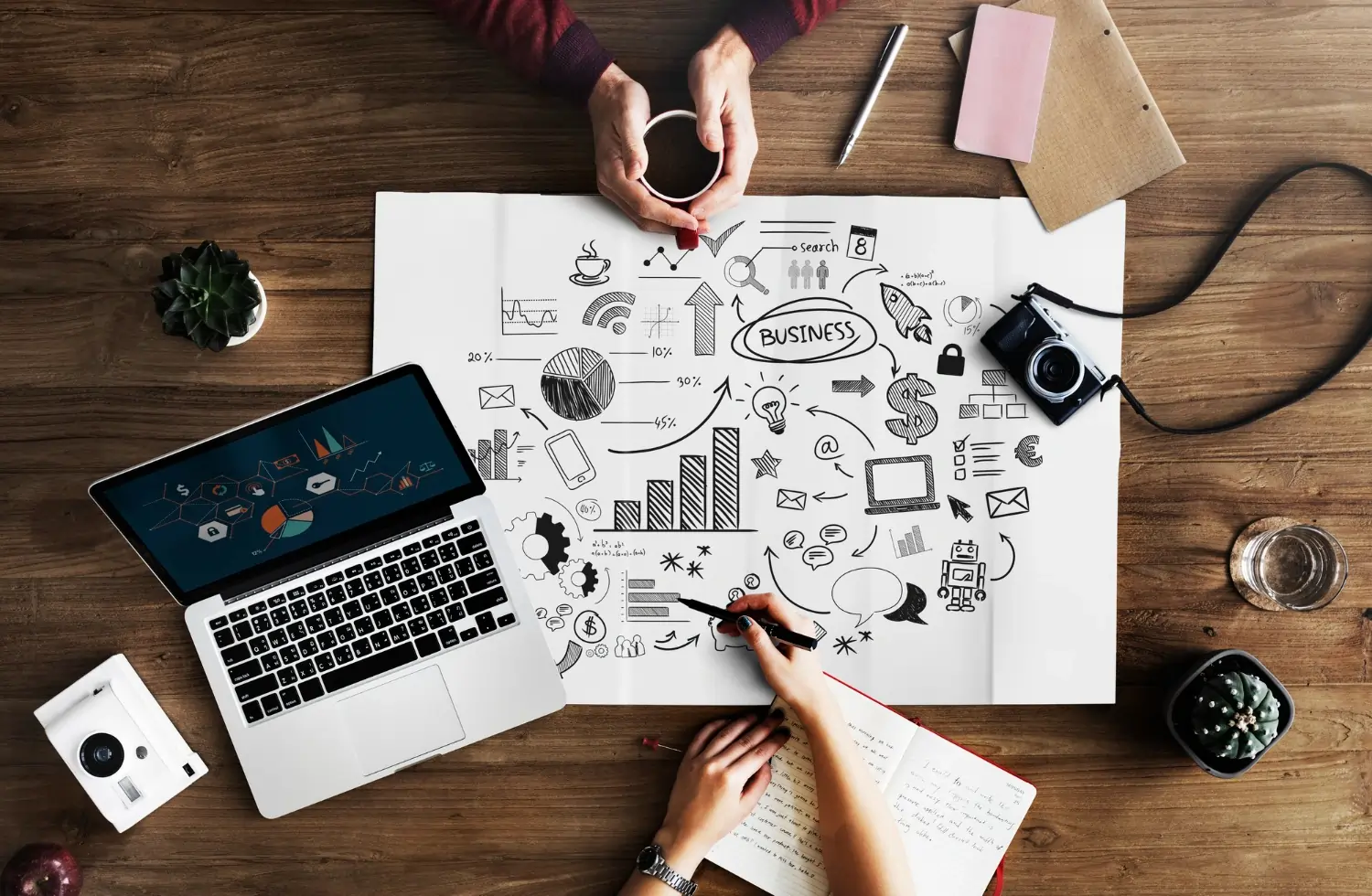 best graphic designer and digital marketer in malappuram​